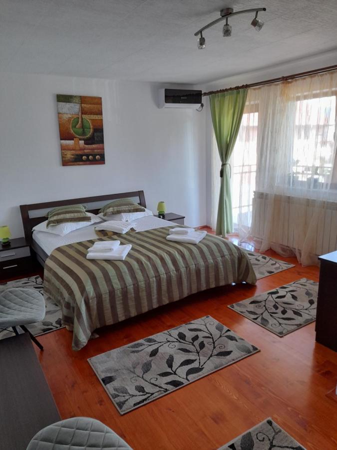 Casa Zoe Seaca Villa Călimăneşti Екстериор снимка